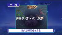 拼多多买的XSX“爆炸”了 网友分析可能是因为进虫子